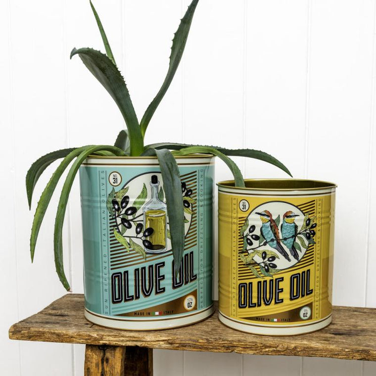 XL Storage Tins - Olive Oil