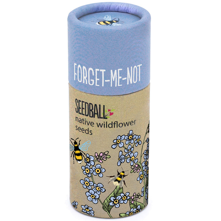 Seedball Native Wildflower Seeds Tube - Forget-Me-Not