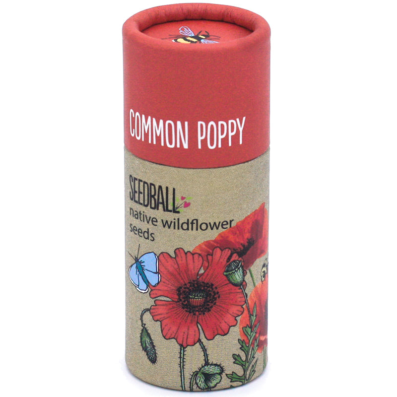 Seedball Native Wildflower Seeds Tube - Poppy