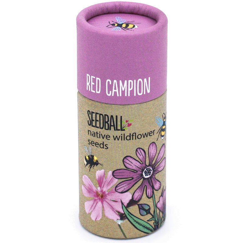 Seedball Native Wildflower Seeds Tube - Red Campion